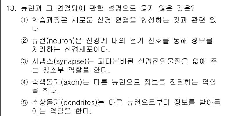 청소년상담사_3급(2교시) 2021년 13번 - . 뉴런의 전기 신호는 시냅스를 통해 전달되지만, 신경 연접의 형성은 주... 에 관한 핵심 기출문제