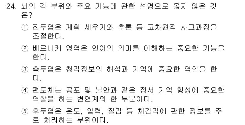 청소년상담사_3급(2교시) 2021년 24번 - 후두엽은 온도, 압력, 감각 지각에 관한 정보를 처리하지만, 인지적 기능... 에 관한 핵심 기출문제