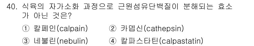 식육가공기사 2021년 40번 - 정답과 핵심 포인트를 검수 중인 기출문제