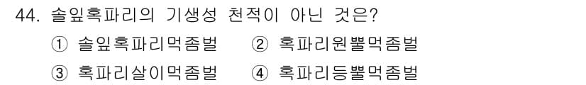 임업종묘기사 2015년 44번 - . 혹피원형별먹줍법은 소나무에 특화된 방법이 아니며, 다른 수종에 적용되... 에 관한 핵심 기출문제