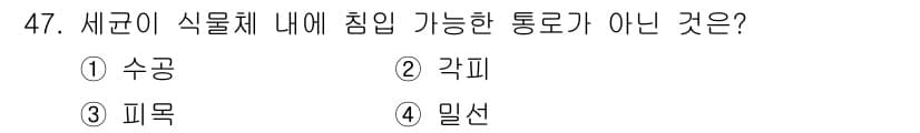 임업종묘기사 2015년 47번 - 정답과 핵심 포인트를 검수 중인 기출문제