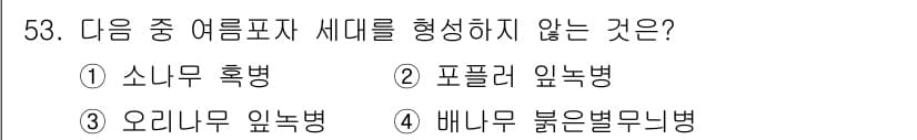임업종묘기사 2015년 53번 - 정답과 핵심 포인트를 검수 중인 기출문제