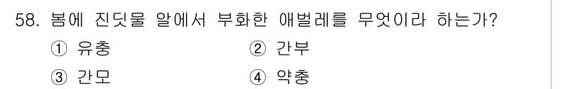 임업종묘기사 2015년 58번 - 정답과 핵심 포인트를 검수 중인 기출문제