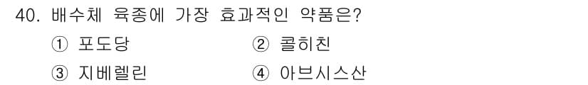 임업종묘기사 2016년 40번 - 정답과 핵심 포인트를 검수 중인 기출문제