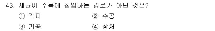 임업종묘기사 2016년 43번 - 정답과 핵심 포인트를 검수 중인 기출문제