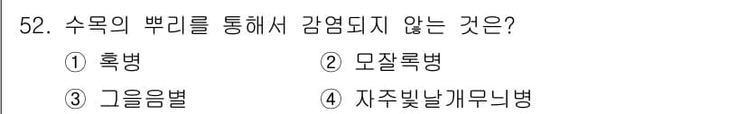 임업종묘기사 2016년 52번 - 정답과 핵심 포인트를 검수 중인 기출문제