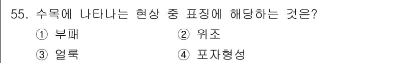 임업종묘기사 2016년 55번 - 정답과 핵심 포인트를 검수 중인 기출문제