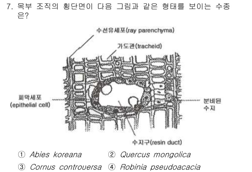 임업종묘기사 2016년 7번 - 정답과 핵심 포인트를 검수 중인 기출문제