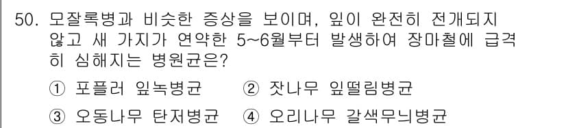 임업종묘기사 2018년 50번 - 정답과 핵심 포인트를 검수 중인 기출문제