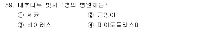 임업종묘기사 2018년 59번 - 정답과 핵심 포인트를 검수 중인 기출문제