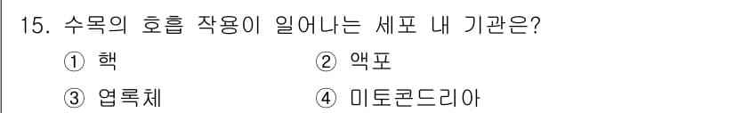 임업종묘기사 2019년 15번 - 정답과 핵심 포인트를 검수 중인 기출문제