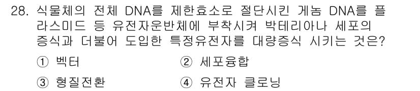 임업종묘기사 2019년 28번 - 정답과 핵심 포인트를 검수 중인 기출문제