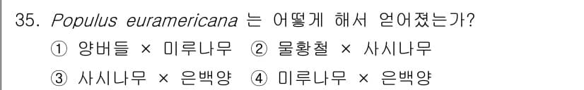 임업종묘기사 2019년 35번 - 정답과 핵심 포인트를 검수 중인 기출문제