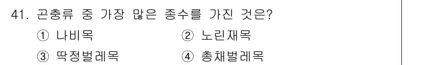 임업종묘기사 2019년 41번 - . 땔감벌레목

땔감벌레목은 다양한 종을 포함하고 있으며, 이는 생물 다... 에 관한 핵심 기출문제