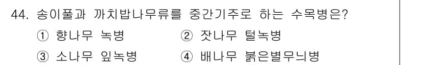 임업종묘기사 2019년 44번 - 정답과 핵심 포인트를 검수 중인 기출문제
