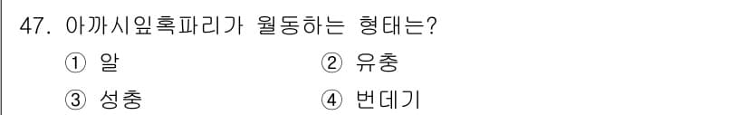 임업종묘기사 2019년 47번 - 정답과 핵심 포인트를 검수 중인 기출문제