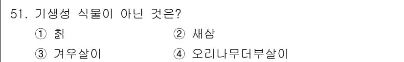 임업종묘기사 2019년 51번 - 정답과 핵심 포인트를 검수 중인 기출문제