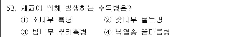 임업종묘기사 2019년 53번 - 정답과 핵심 포인트를 검수 중인 기출문제