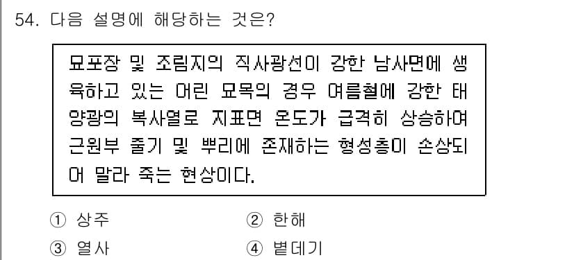 임업종묘기사 2019년 54번 - 정답과 핵심 포인트를 검수 중인 기출문제