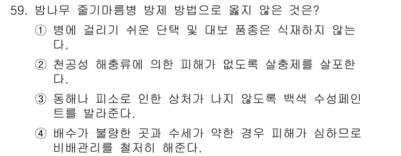 임업종묘기사 2019년 59번 - 정답과 핵심 포인트를 검수 중인 기출문제