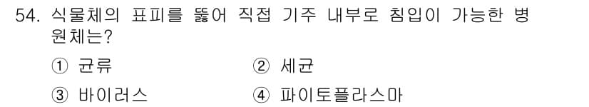 임업종묘기사 2020년 54번 - 정답과 핵심 포인트를 검수 중인 기출문제