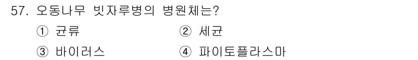 임업종묘기사 2020년 57번 - . 파이토플라스마

오동나무 빛자루병은 파이토플라스마에 의해 발생하며, ... 에 관한 핵심 기출문제