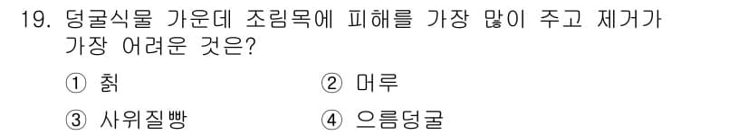 임업종묘기사 2021년 19번 - 정답과 핵심 포인트를 검수 중인 기출문제