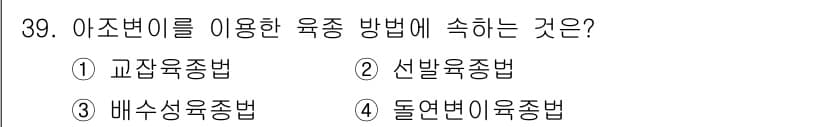 임업종묘기사 2021년 39번 - 정답과 핵심 포인트를 검수 중인 기출문제