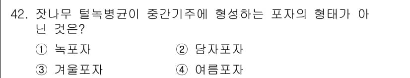 임업종묘기사 2021년 42번 - 정답과 핵심 포인트를 검수 중인 기출문제