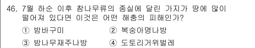 임업종묘기사 2021년 46번 - 정답과 핵심 포인트를 검수 중인 기출문제