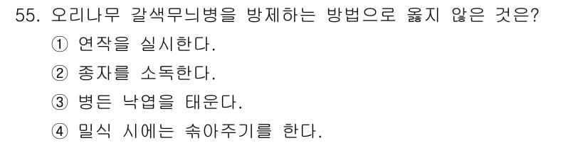 임업종묘기사 2021년 55번 - 정답은 1. "연작을 실시한다."입니다. 오리나무 갈색무늬병은 연작을 통... 에 관한 핵심 기출문제
