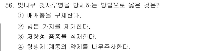 임업종묘기사 2021년 56번 - 정답과 핵심 포인트를 검수 중인 기출문제