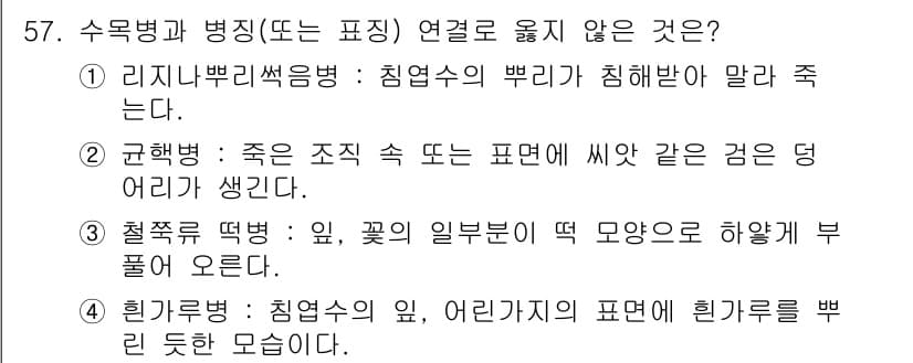 임업종묘기사 2021년 57번 - 수목병과 병징(또는 표징) 관련 문제에서 정답은 4번입니다. 이유는 흰귤... 에 관한 핵심 기출문제