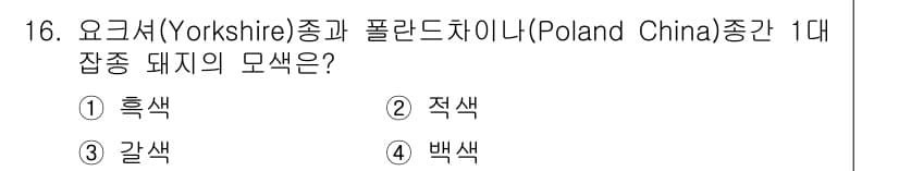 축산기사 2022년 16번 - 정답과 핵심 포인트를 검수 중인 기출문제