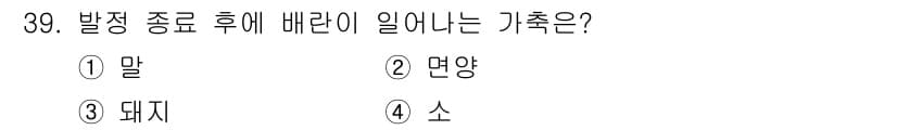 축산기사 2022년 39번 - 정답과 핵심 포인트를 검수 중인 기출문제