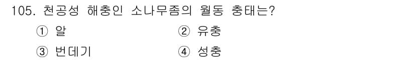 조경기사 2022년 105번 - 정답은 4. 성충입니다. 소니무즘의 생애 주기에서 해충은 주로 성충 단계... 에 관한 핵심 기출문제