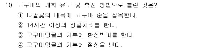 종자기사 2022년 10번 - 정답과 핵심 포인트를 검수 중인 기출문제