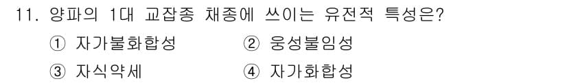 종자기사 2022년 11번 - 정답과 핵심 포인트를 검수 중인 기출문제