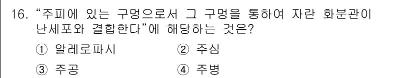 종자기사 2022년 16번 - 정답과 핵심 포인트를 검수 중인 기출문제