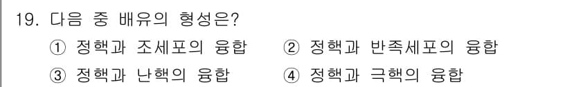종자기사 2022년 19번 - 정답과 핵심 포인트를 검수 중인 기출문제