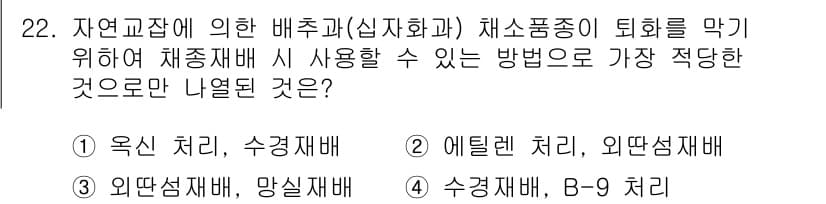 종자기사 2022년 22번 - 정답과 핵심 포인트를 검수 중인 기출문제