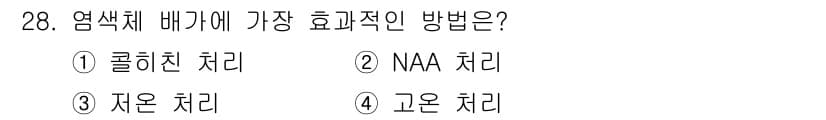 종자기사 2022년 28번 - . 콜히친 처리

콜히친 처리는 염색체 수를 조절하여 배가에 있는 배수체... 에 관한 핵심 기출문제