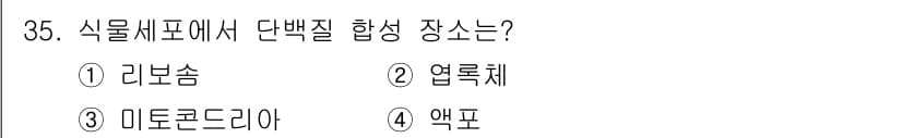 종자기사 2022년 35번 - 정답과 핵심 포인트를 검수 중인 기출문제