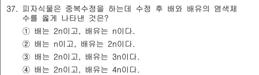 종자기사 2022년 37번 - 정답과 핵심 포인트를 검수 중인 기출문제