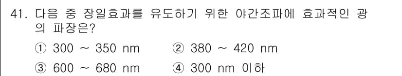 종자기사 2022년 41번 - 정답과 핵심 포인트를 검수 중인 기출문제