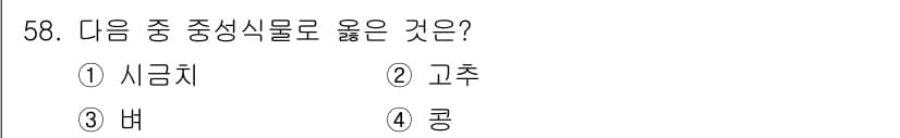 종자기사 2022년 58번 - 정답과 핵심 포인트를 검수 중인 기출문제