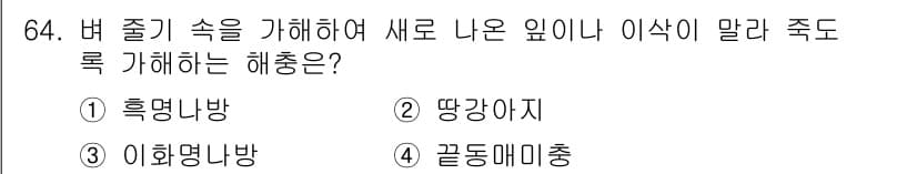 종자기사 2022년 64번 - 정답과 핵심 포인트를 검수 중인 기출문제