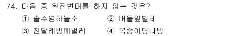 종자기사 2022년 74번 - 정답은 3. 잔달라밈벌레입니다. 잔달라밈벌레는 종자와 관련된 해충이 아니... 에 관한 핵심 기출문제