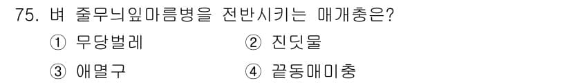 종자기사 2022년 75번 - 정답과 핵심 포인트를 검수 중인 기출문제