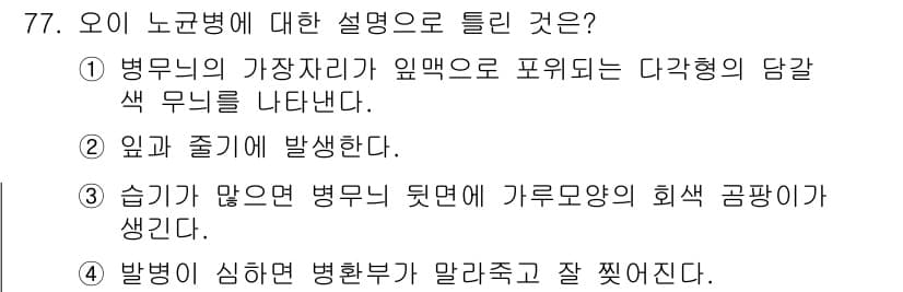 종자기사 2022년 77번 - 정답과 핵심 포인트를 검수 중인 기출문제